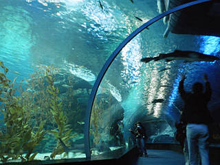 Busan Aquarium