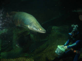 Underwater World Singapore