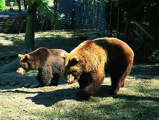 Wild- und Freizeitpark Willingen