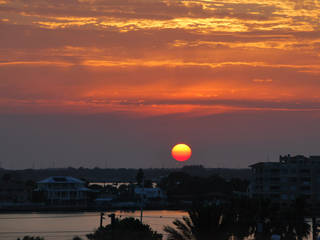 Clearwater Marine Aquarium