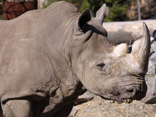 Virginia Zoological Park