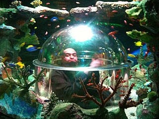 Sea Life Arizona