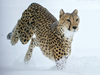 Exotische Tiere im Schneetreiben