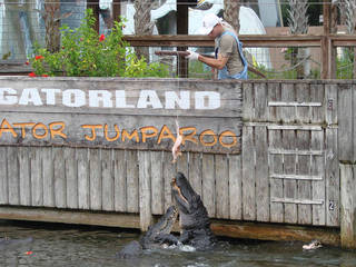 Gatorland in Orlando, Flrorida © Kissimmee - The Heart of Florida