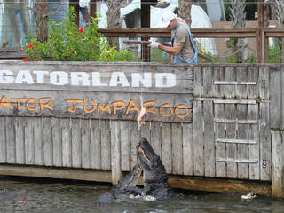 Gatorland