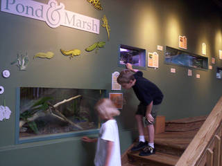 Boonshoft Museum of Discovery