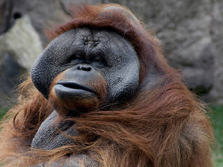 Parque Zoológico de León