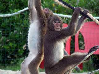 Safari Park d'Abruzzo