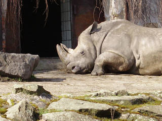 Zoo Ostrava