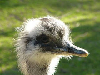 Tierpark Röhrensee