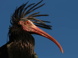 Natur- und Tierpark Goldau © Natur- und Tierpark Goldau