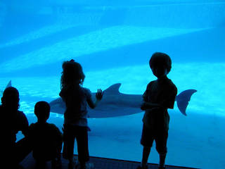 Texas State Aquarium