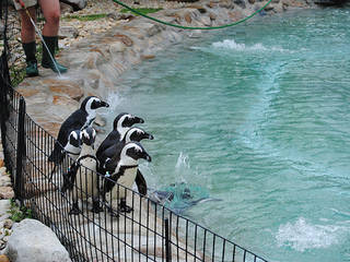 Lehigh Valley Zoo