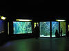 Im Aquarium Du Grand Lyon © Aurelie Chaumat