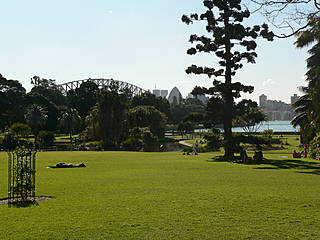 Royal Botanic Gardens Sydney. © Richard Gifford