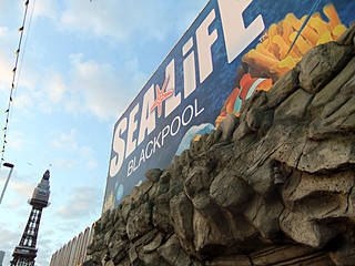 Sea Life Blackpool