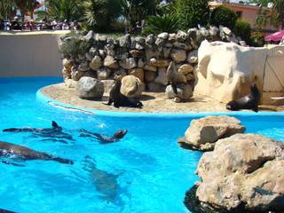 Marineland Antibes