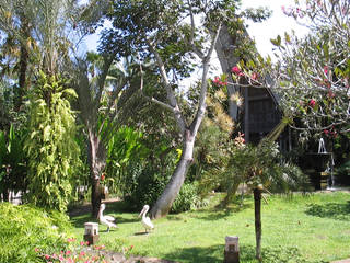 Bali Bird Park