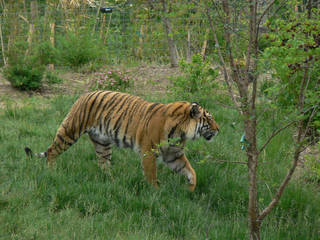 Sedgwick County Zoo