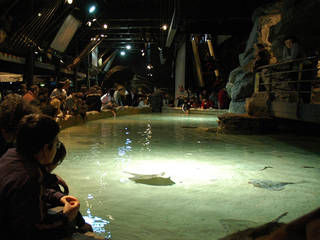 Acquario di Genova