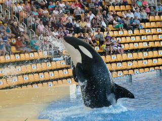 Loro Parque