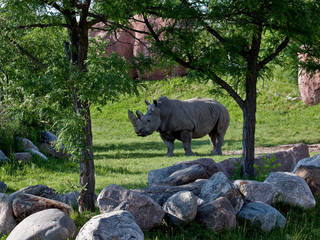 Toronto Zoo