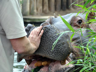 Zoologischer Garten Frankfurt