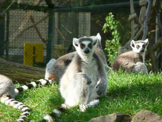 Zoo Saarbrücken