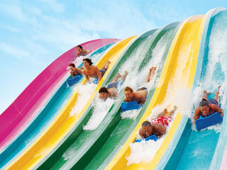 © SeaWorld Parks Entertainment