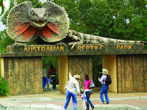 © Australian Reptile Park