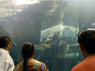 Acuario de Veracruz