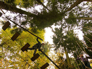 Kletterwald Prien am Chiemsee