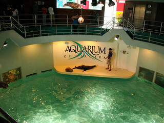 Aquarium of Niagara