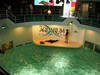 Aquarium of Niagara © Triple Tri