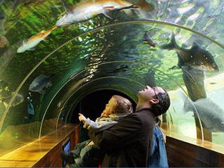 Lakes Aquarium