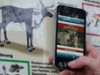 Tierinformationen aufs Handy im Zoo Osnabrück